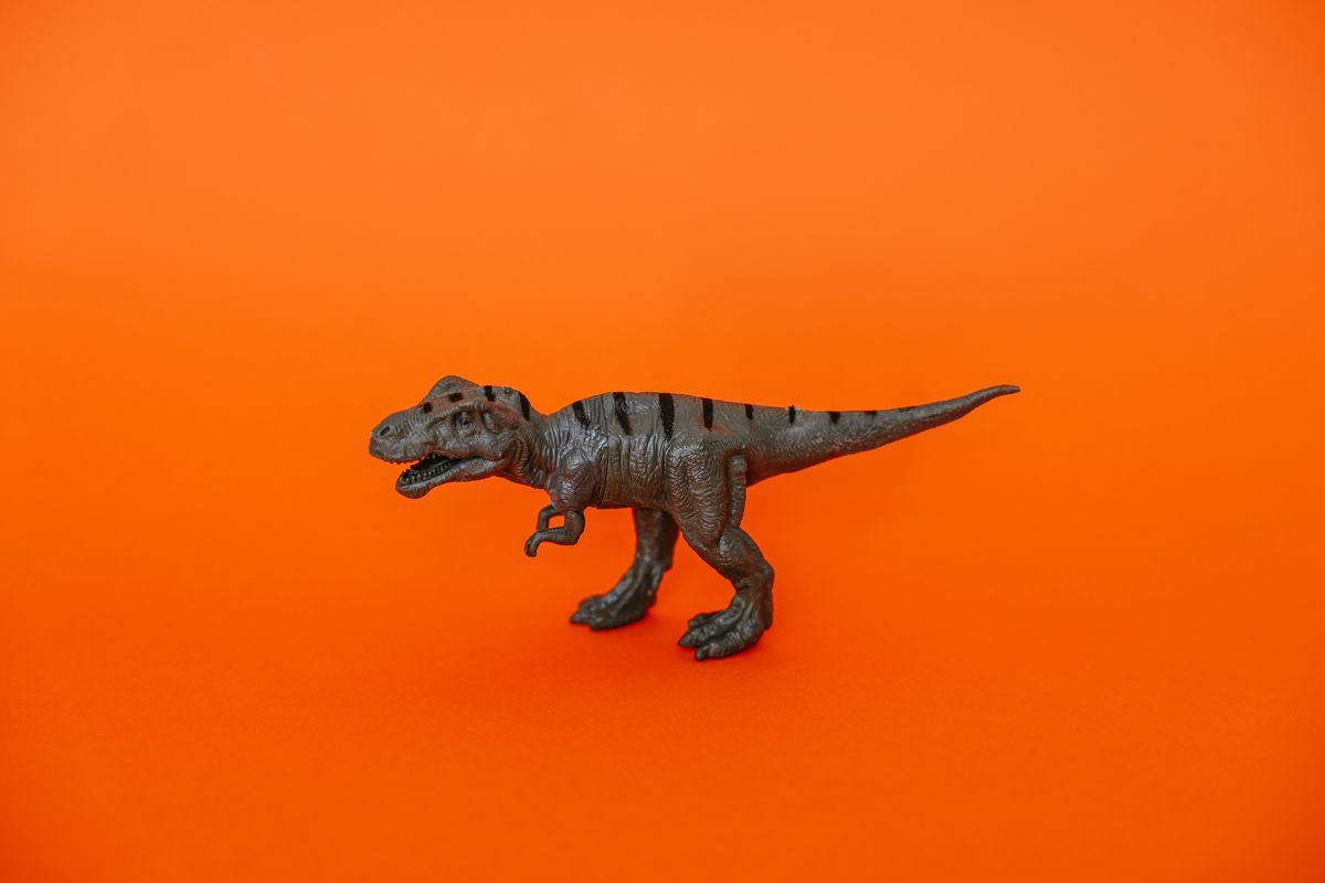 Tyrannosaurus Rex Display Model